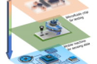 华中科技大学刘笔锋教授：基于智能手机的移动健康平台助力微流控即时检测