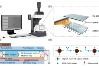 中国科学院苏州生物医学工程技术研究所胡思怡团队：AIEgens增强型数字微流控实现SARS-CoV-2高灵敏度即时检测