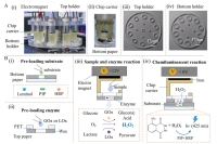 旋转盘式纸基微流控设备：葡萄糖和乳酸检测的新利器