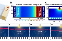 清华大学王文会副教授&合肥工业大学黄亮副教授：毛细作用赋能大阵列液态金属电极用于紧凑、高通量介电泳微流控设备
