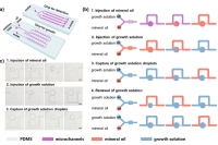 华东师范大学赵振杰教授&李欣副教授：微流控技术制备氧化锌纳米结构阵列，实现高效生物检测