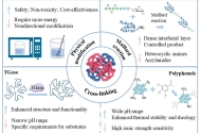 一张图读懂综述：蛋白质微囊及其应用进展