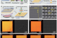 上海交通大学胡永祥教授团队：飞秒激光诱导纳米粒子植入柔性基底，用于灵敏且可重复使用的微流控SERS检测