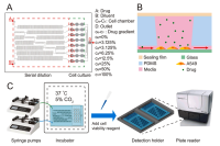 南京大学许丹科教授团队：可快速评估肺癌药物组合敏感性的多功能稀释-处理-检测微流控芯片平台