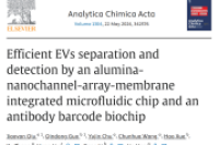 山东大学刘宏&韩琳&山东大学齐鲁医院李刚：基于氧化铝纳米通道阵列膜的集成式微流控装置，可实现高效细胞外囊泡分离与原位检测