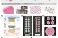 吉林大学张俊虎教授团队：基于液态金属的微流控纳米等离子体平台，用于即时裸眼抗体检测