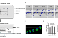吉林大学柳忠辉教授、崔雪玲教授团队：微流控装置揭示脓毒症中性粒细胞迁移障碍新机制