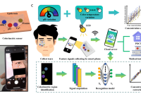 中国石油大学张冬至教授团队：用于监测关键泪液生物标志物的人工智能辅助微流控比色可穿戴传感器系统