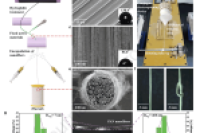 东华大学覃小红教授、季东晓研究员等人：无泵微流控汗液传感纱线