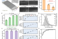 无标记微流控分选新进展：PANDA芯片实现循环肿瘤细胞团簇的高效分离