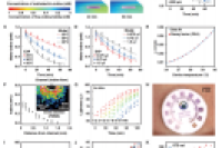 从汗液到健康：皮肤界面微流控平台用于人体运动期间的动态汗液生化分析