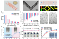 南京理工大学罗军&南京大学宋玉君等人：微流控技术连续制备温敏型双激素泡沫纳米引擎，提高糖尿病直肠给药的生物利用度