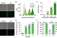 微流控+机械穿孔：一次性解决细胞内递送难题，让基因编辑效率提升数倍
