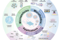 一图读懂综述：液滴微流控技术制备载干细胞水凝胶微球及其生物医学应用