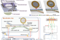 清华大学王文会团队: 基于阻抗流式细胞术的单细胞样本“一步式”分选除盐质谱预处理系统
