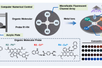 中科院合肥研究院固体所蒋长龙研究员：微流控荧光传感器阵列用于多组分重金属离子的实时同步可视化检测
