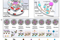 中国农业大学林建涵教授团队：手指驱动的微流控比色生物传感器，用于沙门氏菌的快速、灵敏和多重检测