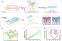 湖北中医药大学张国军教授&李玉桃副教授：用于多重检测创伤性脑损伤生物标志物的集成微流控晶体管传感系统