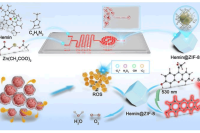 南京大学宋玉君教授团队：微流控合成Hemin@ZIF-8纳米酶及其在细胞活性氧检测和抗癌药物筛选中的应用