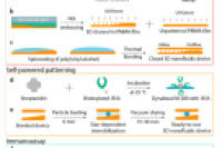 用于全血快速多重免疫测定的三维微流控毛细管装置