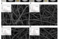 浙江大学吴迪教授：微流控吹纺制备含那他霉素和反式肉桂酸的抗菌PCL/EC纳米纤维膜用于水果保鲜