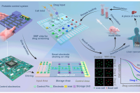 精准医疗新突破：数字微流控技术在癌症药物筛选中的创新应用