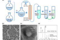南师大徐翔星教授&南邮张新稳教授：微流控技术结合纳米级柯肯达尔效应制备空心CsPbBr3钙钛矿纳米晶体