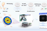 空间编码离心式微流控芯片-智能手机平台联合RT/LAMP-CRISPR/Cas12a体系用于流感病毒分型检测
