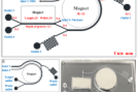 武汉大学胡斌教授课题组：集成磁性探针的级联相转移微流控芯片，用于循环肿瘤细胞的高活性分选、纯化、释放和检测