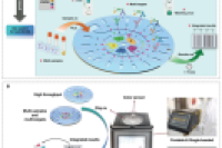 华中科技大学李一伟教授、刘笔锋教授团队：可实现多重即时检测的全集成高通量微流控系统