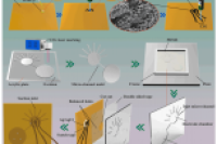 南京邮电大学苏邵教授团队：智能手机控制植物可穿戴微流控传感器，用于原位快速检测甲基对硫磷
