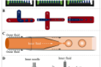 一图读懂综述：微流控技术在益生菌封装、保护和控制递送中的应用进展