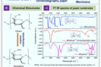 一图读懂综述：多维微流控纸基分析设备的结构设计及其在无创检测中的应用进展