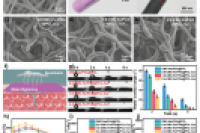 南京工业大学陈苏教授团队：微流控纺丝技术构筑核壳凝胶纳米纤维人造皮肤