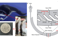 浙江理工大学胡箫&中国计量大学包福兵：基于蝠鲼过滤系统的自清洁微流控芯片