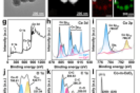 南华大学喻翠云教授团队：一种可编程微流控纸基分析装置，可实现多种酶活性的同步比色和光热视觉传感