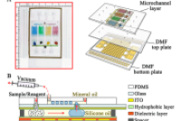 广州市第一人民医院刘大渔&徐邦牢：基于数字-液滴微流控装置的多重核酸检测技术，用于快速、准确识别多种尿路病原体