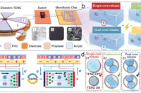 东北林业大学张凯亮副教授团队：由摩擦纳米发电机驱动的可控双乳液液滴操纵