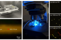 荧光微流控系统用于实时监测流动条件下的PS和PVC亚微米级微塑料