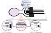 用于缺血性中风即时检测的比色-电化学双模式微流控纸基分析装置