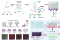 一图读懂综述：微流控条形码生物芯片在高通量实时筛选生物分子和单细胞中的应用进展