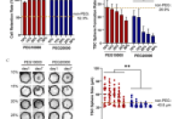 广州市第一人民医院刘大渔&暨南大学王丽辉：在微流控芯片上形成单细胞衍生的结肠癌类器官阵列，用于高通量肿瘤异质性分析
