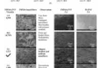 T集成可调电纺多孔膜的模块化多室微流控系统，用于构建肠上皮屏障模型