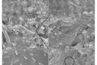 可穿戴能源新突破：基于织物的无膜微流控双入口微生物-酶混合生物燃料电池