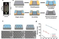 同济大学杨同青、许晓斌团队&浙江大学马梁团队：硅纳米棒阵列集成微流控芯片，实现高效细胞外囊泡分离