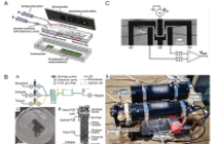 一图读懂综述：微流控技术在宏观流体中的创新应用，应对气候变化引发的海洋生态系统挑战