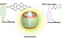 南京工业大学徐安明副教授团队：淬灭荧光探针与微流控液滴分选技术联用，实现聚氨酯降解微生物的高通量筛选