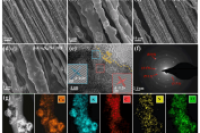 北化工王峰团队&郑大张鹏团队：微流控纺丝技术制备平行阵列结构的硫化钴/氮掺杂碳纳米笼/碳纤维复合材料，用于高效整体水分解