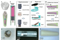美国范德堡大学董晓光教授团队：无线驱动微流体泵和阀门，实现牙科植体中的受控液体输送