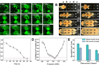 上海微系统所赵建龙团队与上海海洋大学卞晓军团队：一种集成微流控芯片，能够同时检测12种常见呼吸道病原体